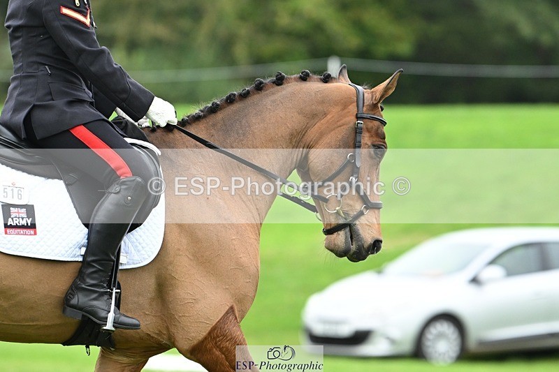 241024-123131-03420 - 516-L.Bdr.Ellie.Mitchell-MICRON.JOY