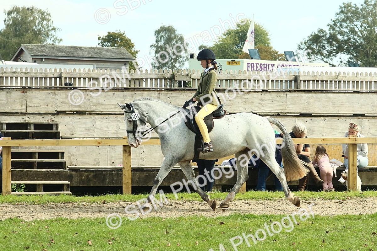 SBM_67542 - S56 - Coloured Pony Ridden