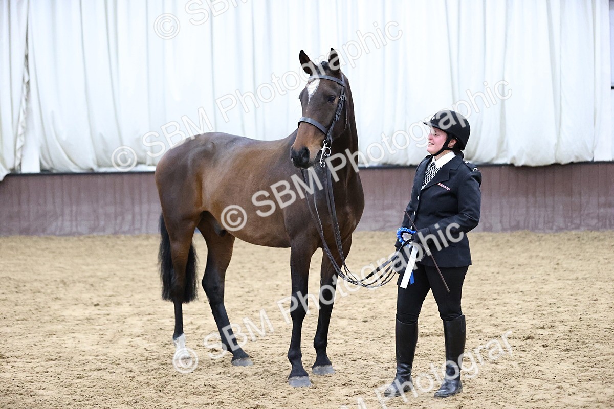 SBM_5788 - Class 3 - BSHA In Hand Show Hunter