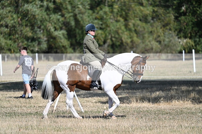 WJ7_3117 - Class 8 Ridden Tack & Turnout