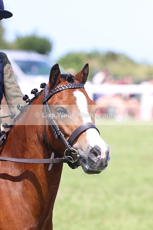 JPP_2328 - Class 20: Tiny Tots Working Hunter Pony