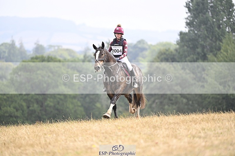 250824A-114956-35403 - 2004-Anaya.Stoneman-Anablaha.Blue