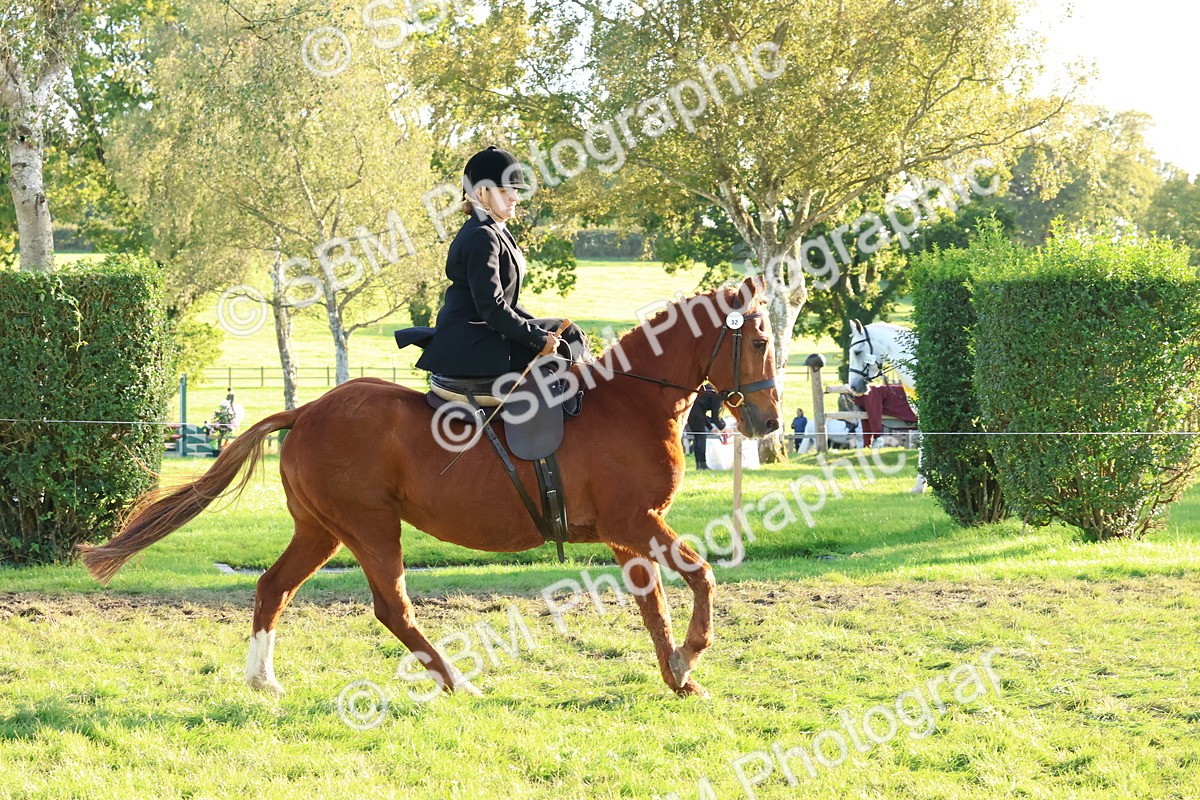 SBM_53002 - S29 - Mature Veteran Ridden