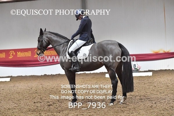 BPP_7936 - ELEM TEST 6