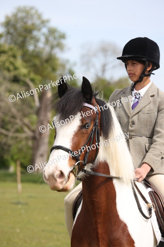 20260426-3017 - Class 33 - Best Pony 14.2hh and Under