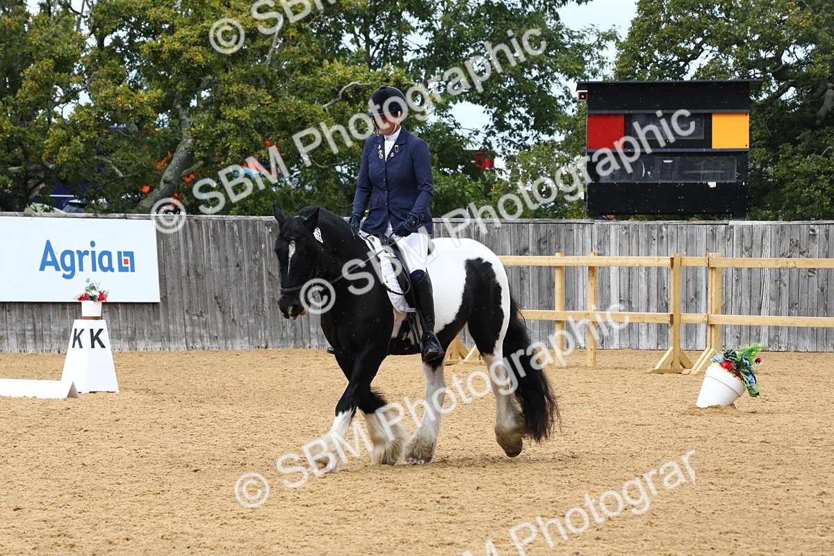 SBM_21011 - D5 - Small Tour Championshop Intro 2