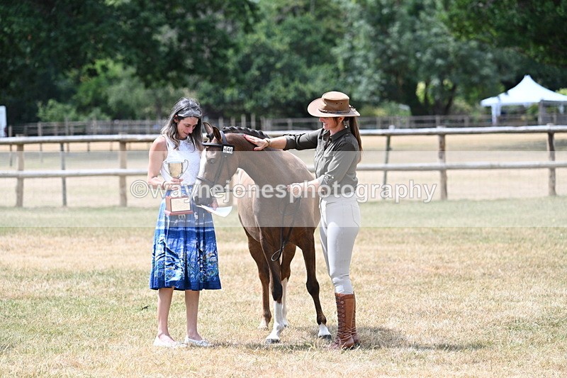 WJ7_2104 - Prettiest Mare Champs