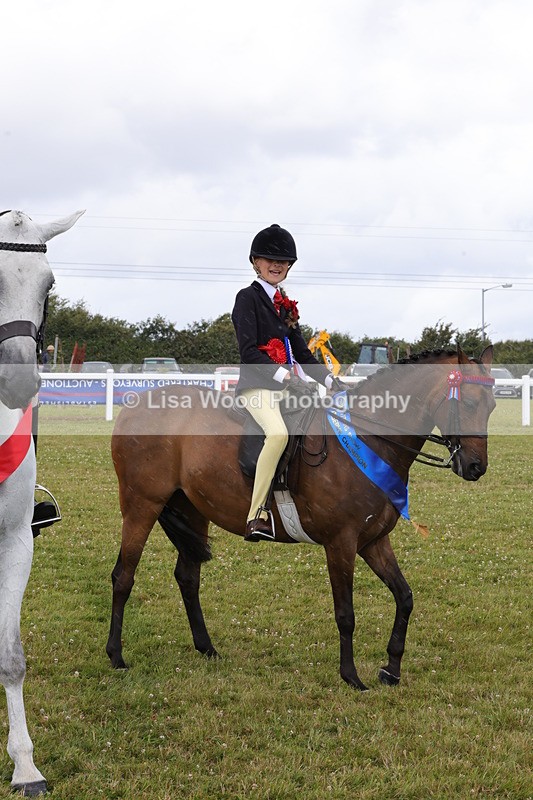 1X9A4250 - Plaited Ridden Championship
