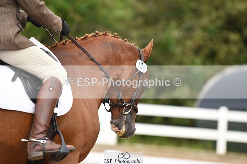 230912A-115516-00634 - Cls 8 Elementary 59