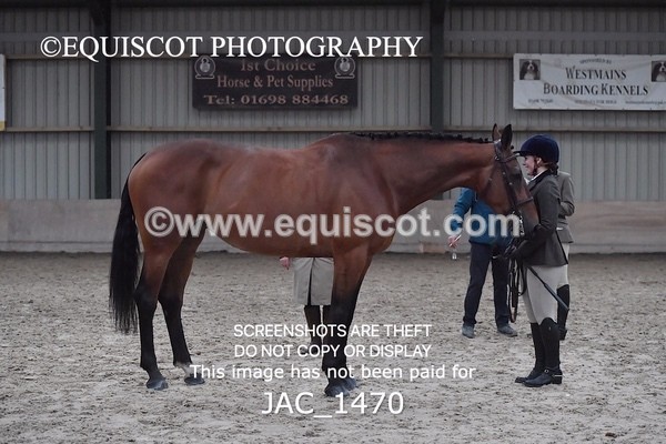 JAC_1470 - CLASS 9 BHS Scotland Riding Club Working Hunter Qualifier (1.00m)