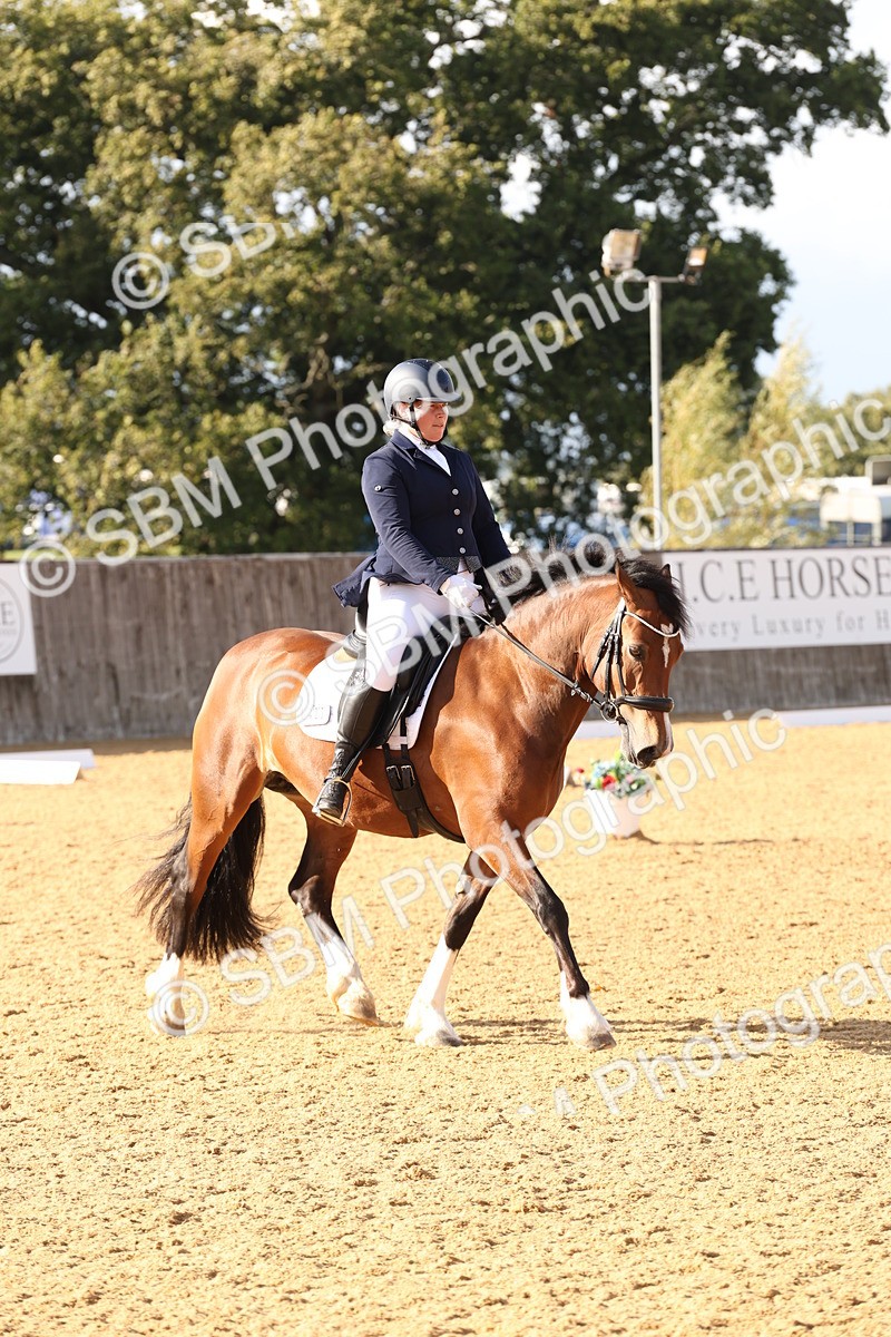 SBM_27024 - D17 - Grand Tour Championship Novice 3