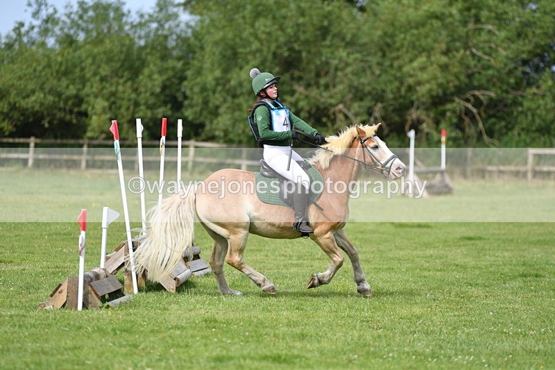 WJ5_2319 - Class 2 40cm