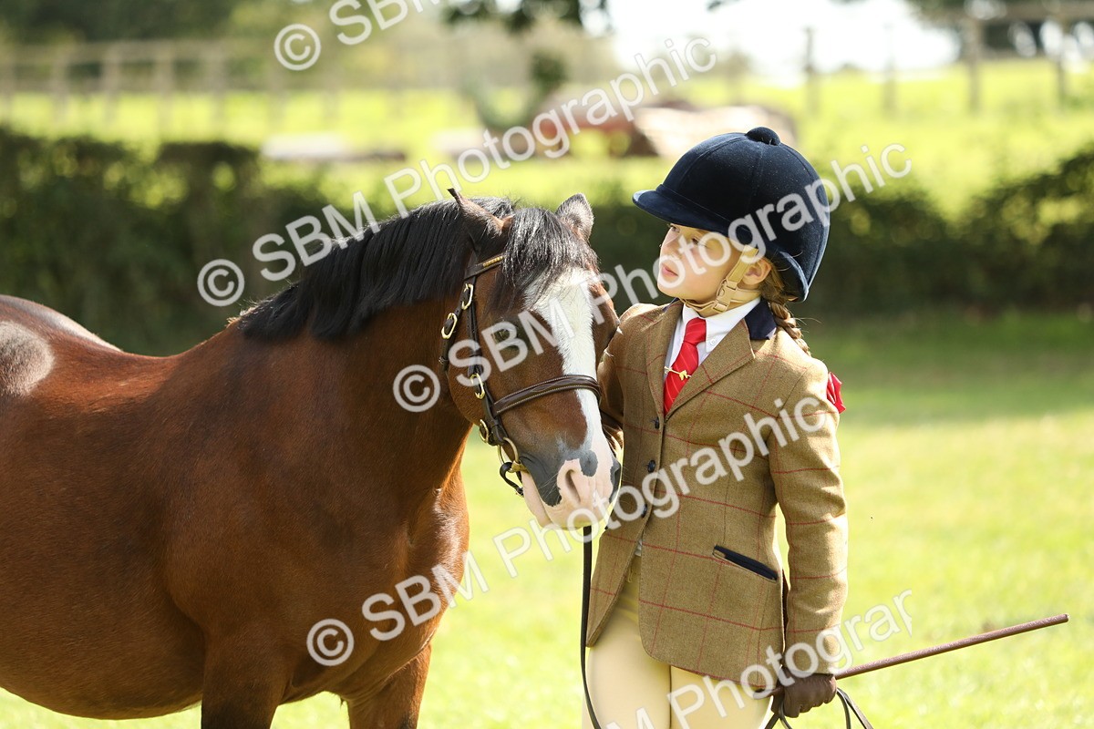 SBM_67768 - S39 - Junior Handler 8  Years & Under