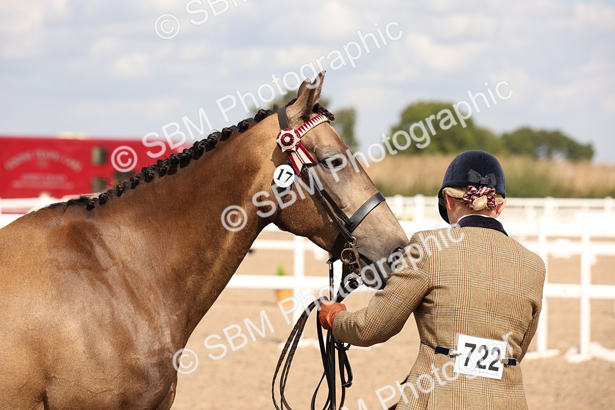 SBM_03749 - Class 19 Judge's Favourite