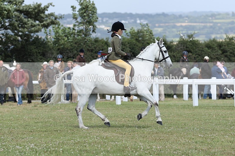 JPP_2109 - Class 19: Working Hunter 60cm