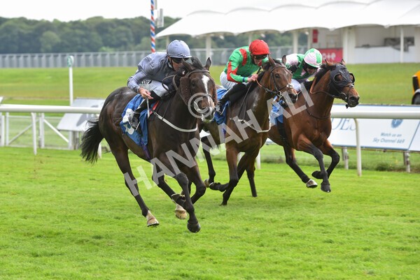 yr11062021r5-14 - Race 5 4.00pm Sky Bet Ganton Stakes