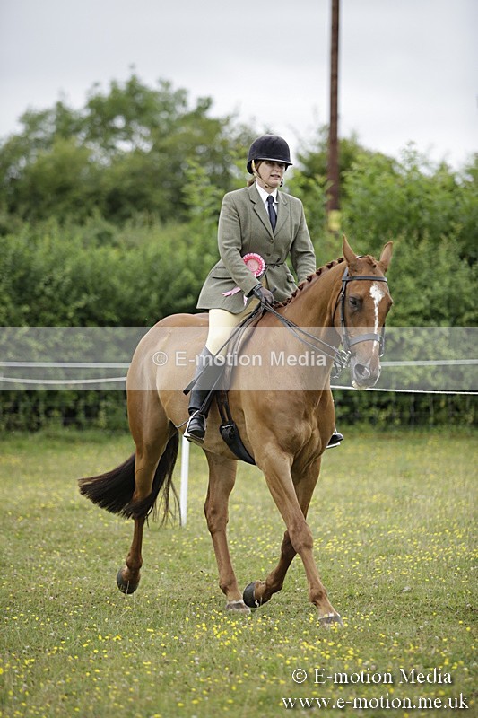 BVR160717-1069 - Ring 1 BVRC Show 16/07/17