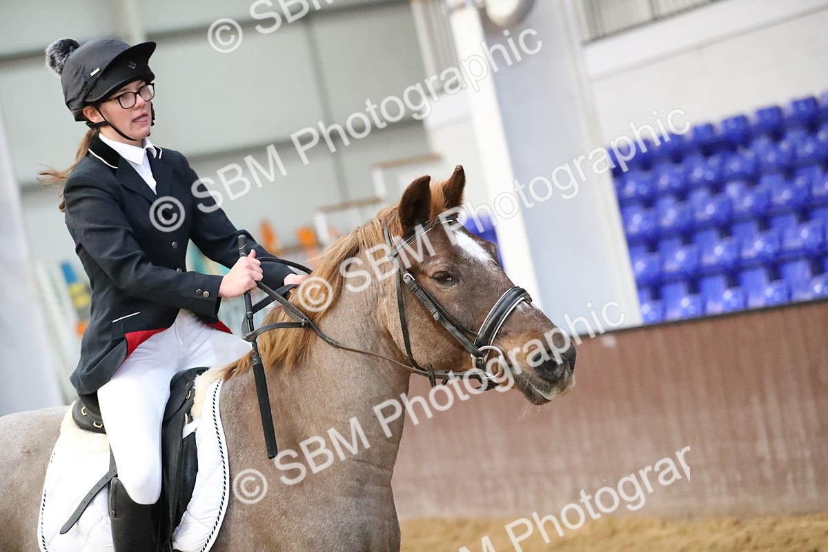SBM_000168 - Class 1 - Show Jumping 50cm