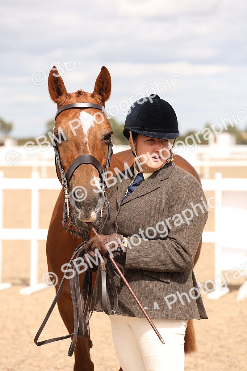 SBM_15392 - Class 210- IH Show Horse