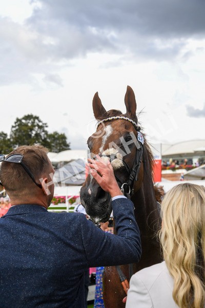 260823-Race 5-Albasheer-1228 - Race 5 Sky Bet Constantine Handicap