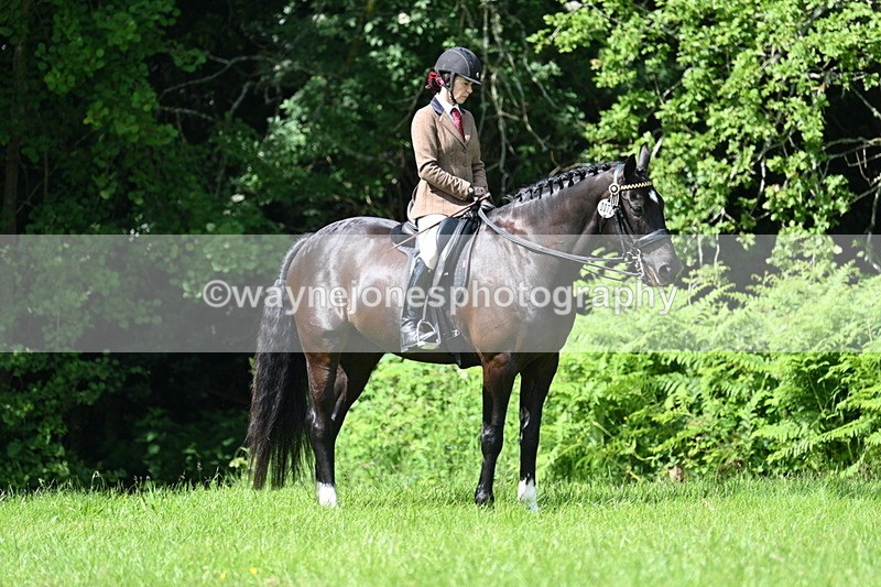 WJ7_1240 - Class 11 Condition & Turnout