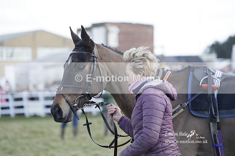 PtP 260223 683 - South & West Wilts Point-to-Point Larkhill 26/02/23