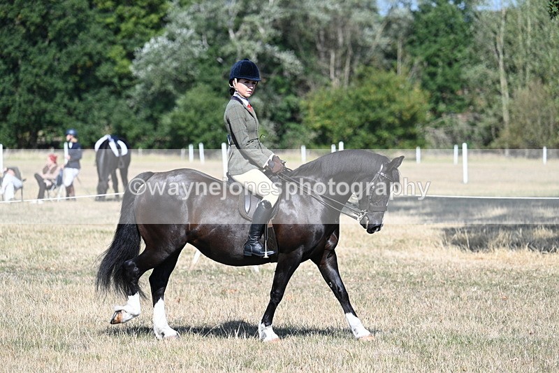 WJ7_3444 - Class 9 Mountain & Moorland Ridden
