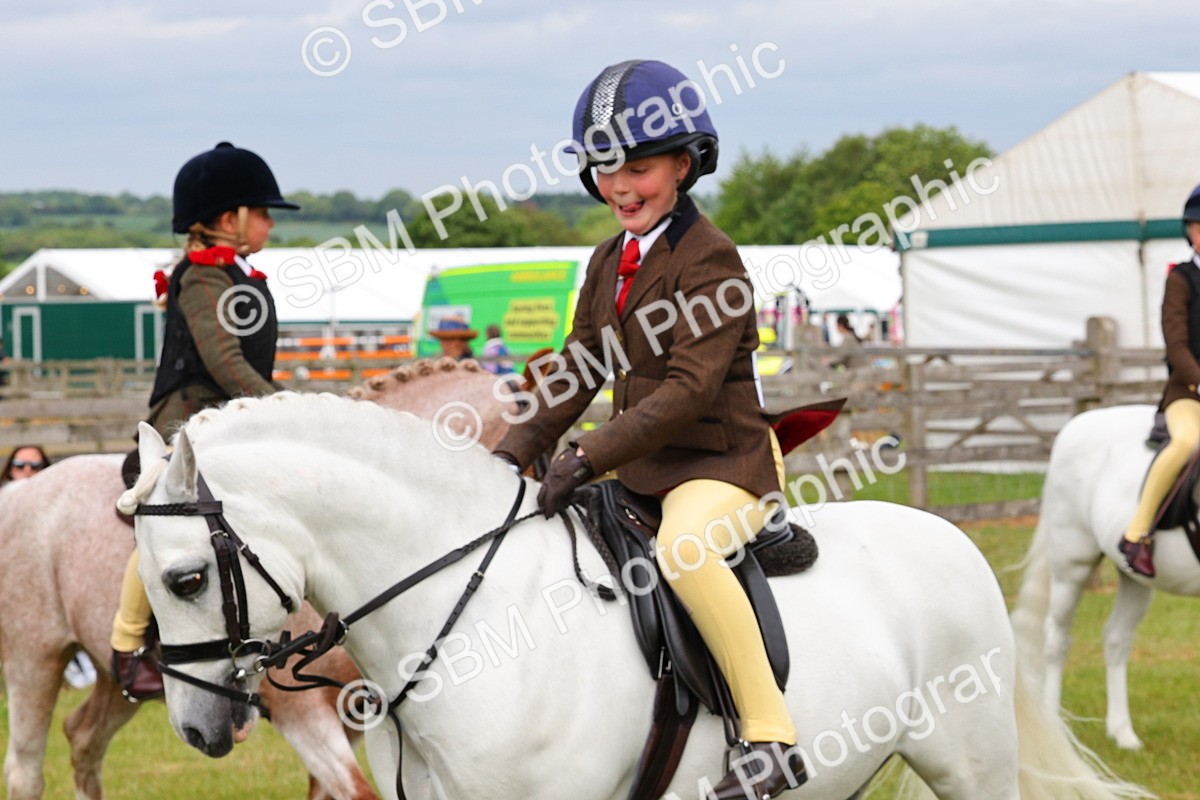 SBM_09629 - Class 44-45 - LIHS BSPS Open Nursery and Cradle Stakes