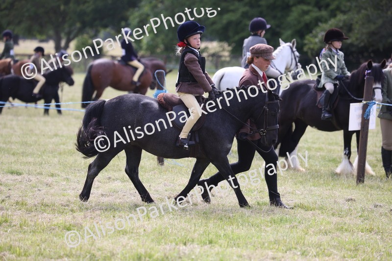 20260614-0605 - Class 20 - Beginners Working Hunter Pony