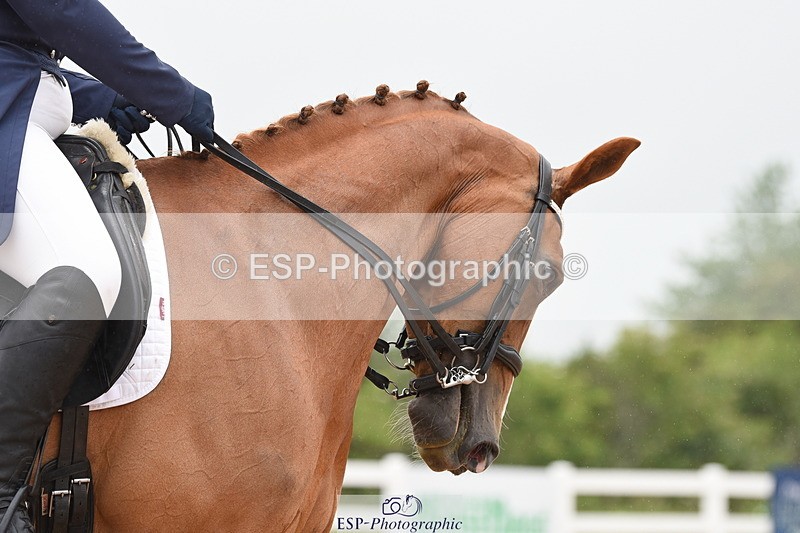 230630A-134818-02045 - Cls 17 FEI PSG