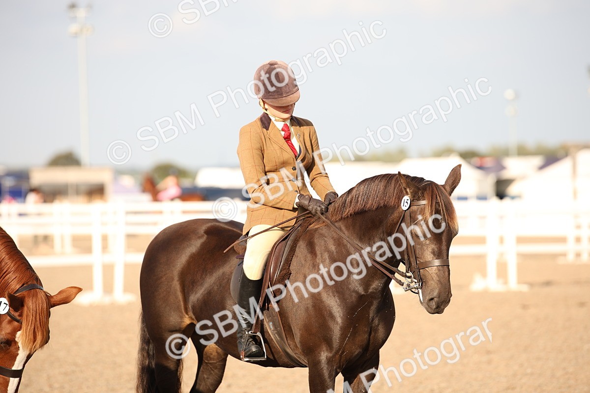 SBM_09212 - Regional Ridden Champ