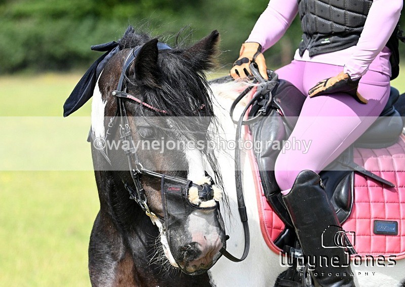 WJ7_9460 - Kellie Jade Ellie XC training with Kelly Harris 28-06-26