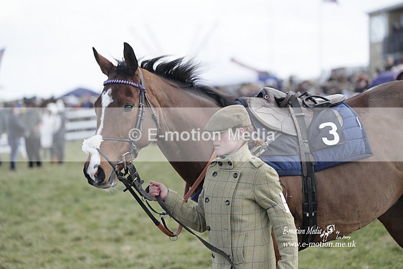 PtP 260223 363 - South & West Wilts Point-to-Point Larkhill 26/02/23