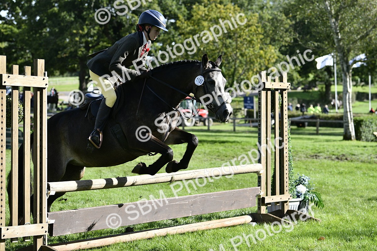 SBM_49992 - S34 - Novice & Newcomers Working Hunter
