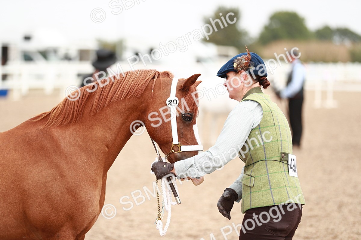 SBM_12483 - Class 207 IH M&M