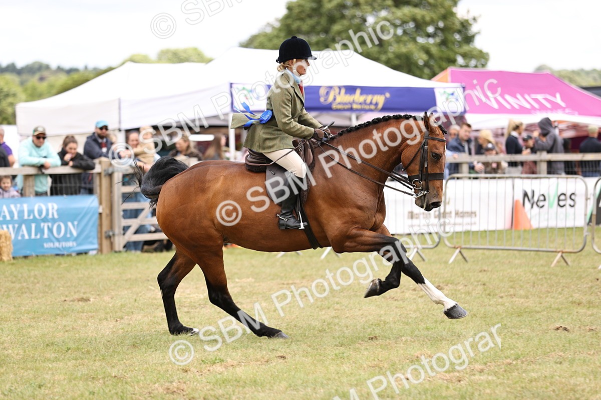 SBM_14814 - Class 88-89 - LIHS BSHA Rising Star of Ridden Hunter Type
