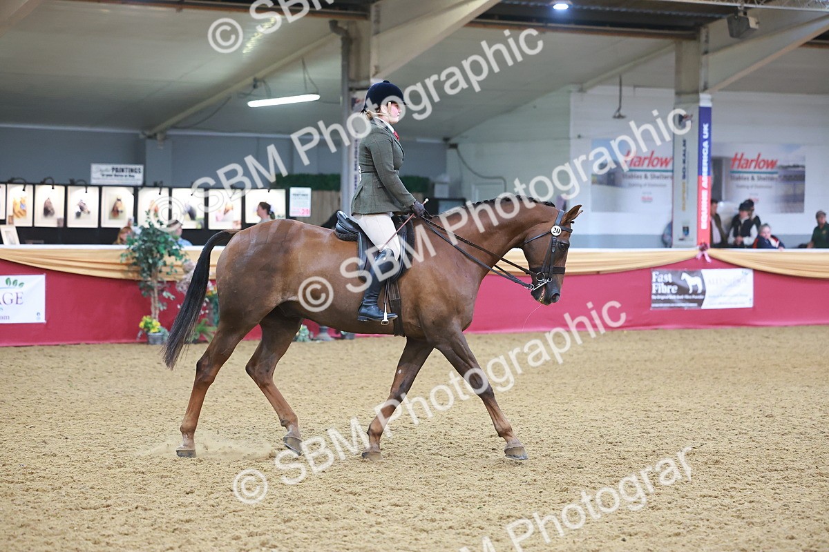 SBM_09672 - Class 102 - HOYS Veteran Qualifier - Ridden Veteran
