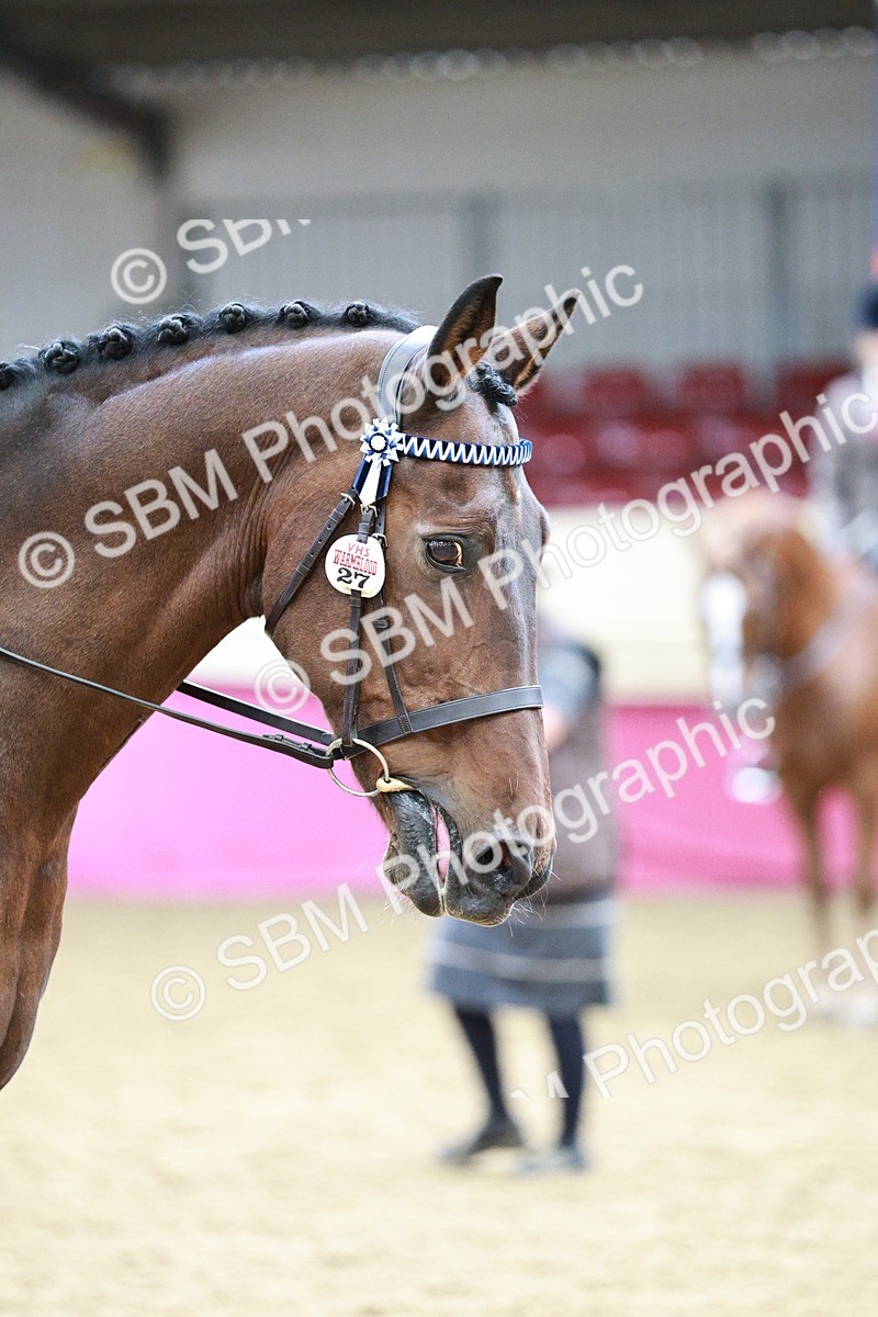 SBM_02210 - Class 4A - Area Ridden Diamond