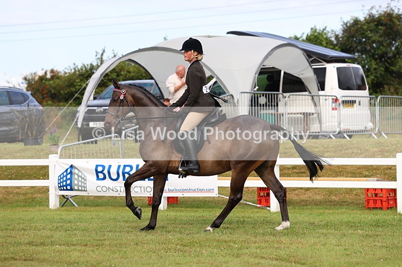 3E7A8075 - Class 2: Rising Star Large Hack/Riding Horse