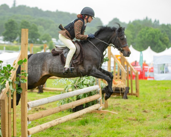 Dunblane show-280 - Dunblane and Doune Show Ring 1