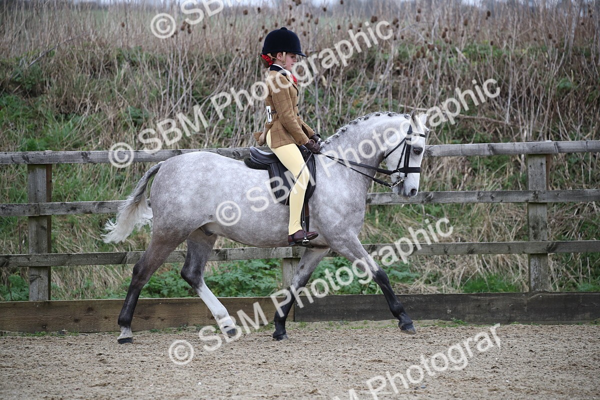 SBM_004640 - Class 5-9 - NPS In Hand-Show Hunter-Intermediate Ridden Inc Ridden Championship