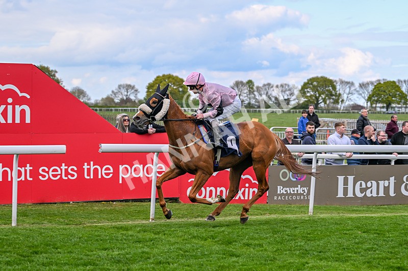 240425-Race 5-Two B Tanned-1561 - Race 5