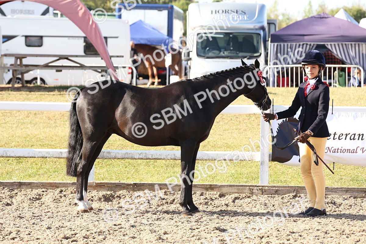 SBM_11663 - Class 203 - Young Handler 11 to 16 years
