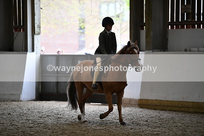 WJ5_6809 - Class 10 Childs Pony