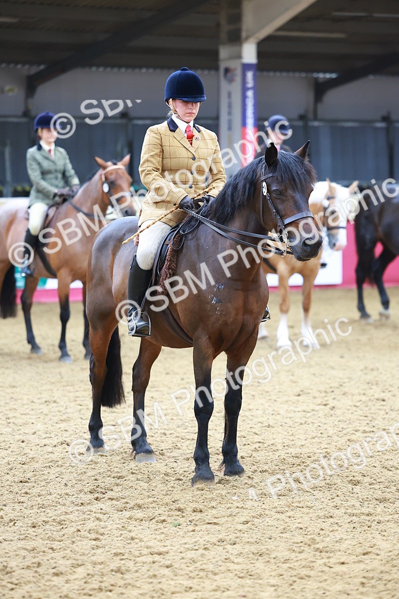 SBM_09843 - Class 102 - HOYS Veteran Qualifier - Ridden Veteran