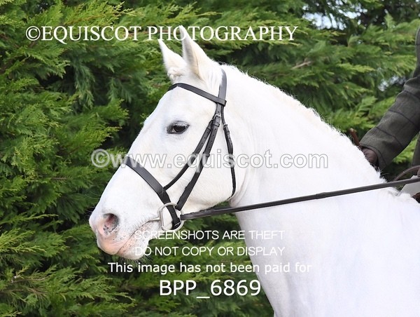 BPP_6869 - RING 1  (RIDDEN HORSES / IN HAND / VETERAN ETC)