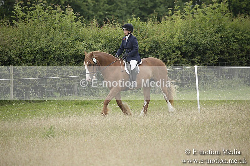 B230619-0304 - Bourne Valley Riding Club Summer Show 23/06/19