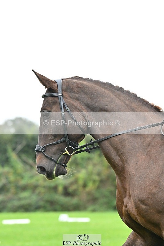 241024-110808-02370 - 315-Andrew.Winterton-STALLONE