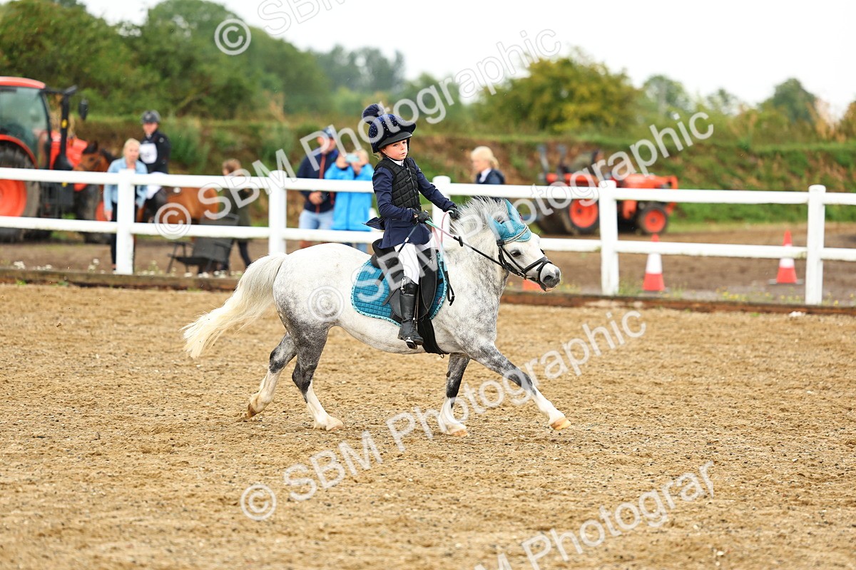 SBM_000809 - Class 3 - 60cm