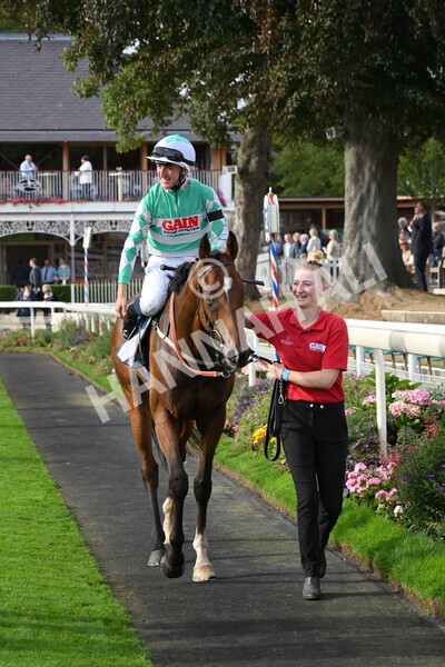 yr04092022r6-45 - Race 6 4.40pm Hanson Springs Stakes
